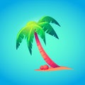 Cute palm tree with coconuts in cartoon style. Symbol of summer vocations