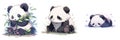 Cute panda 2D beautiful colorful picturel AI Generated