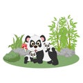 Cute panda animal cartoon illustration design