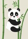 Cute Panda Bear on bamboo branch.