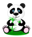 Cute panda bear