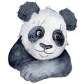 Cute Panda bear cartoon watercolor illustration animal