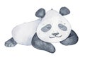 Cute Panda bear cartoon watercolor illustration animal