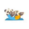 Cute panda bear doing sit up on a mat, sportive animal character, fitness and healthy lifestyle vector Illustrations on