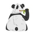 Cute Panda Bear Eating Stem of Bamboo, Funny Wild Animal Cartoon Style Vector Illustration on White Background Royalty Free Stock Photo