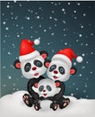 Cute panda bear family Royalty Free Stock Photo