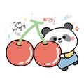 Cute panda bear hug cherry cartoon on white background