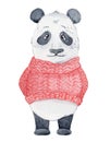 Cute Panda bear in red sweater cartoon watercolor illustration animal