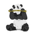 Cute Panda Bear Sitting with Stem of Bamboo, Funny Wild Animal Cartoon Style Vector Illustration on White Background Royalty Free Stock Photo