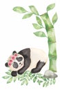 Cute Panda bear wild animal  in cartoon style with bamboo and flowers. Isolated on white background Royalty Free Stock Photo