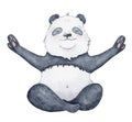 Cute Panda bear in yoga position cartoon watercolor illustration animal