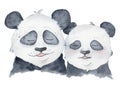 Cute Panda bears couple in love cartoon watercolor illustration animal