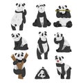 Cute Panda Bears Set, Funny Wild Animals in Various Poses Cartoon Vector Illustration Isolated on White Background Royalty Free Stock Photo