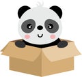 Cute panda in cardboard box