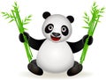 Cute panda cartoon with bamboo
