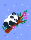 Cute panda. Cartoon greeting card. Animal character sleeping on eucalyptus branch. Sweet dream. Asian mammal. Adorable