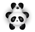 Cute Panda Cartoon Lift His Body