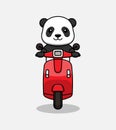 Cute panda cat riding a scooter Royalty Free Stock Photo