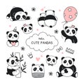 Cute panda. Doodle baby bear. Koala animal tattoo characters. Cartoon print for kid nursery. Kids birthday. Lazy fluffy