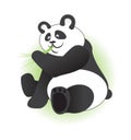 Cute panda eating