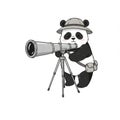 Cute Panda Explorer with Telescope Royalty Free Stock Photo