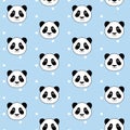 Cute panda head on white dots blue background seamless pattern v Royalty Free Stock Photo