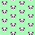 Cute panda head on white dots light green background seamless pa Royalty Free Stock Photo