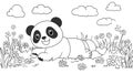 Cute Panda Bear Lying in a Field of Flowers, Black and White Outline Royalty Free Stock Photo