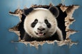 Cute panda peeks through a torn wall, framing empty space