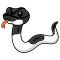 Cute panda pied ball python cartoon Royalty Free Stock Photo