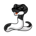 Cute panda pied ball python cartoon Royalty Free Stock Photo