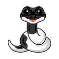 Cute panda pied ball python cartoon Royalty Free Stock Photo