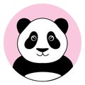 Cute panda in the pink circle illustration