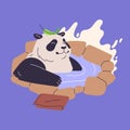 Cute panda rest in onsen. Fluffy asian bear bathe in hot spring, happy jungle character sitting in pond and smile, glad