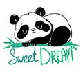 Cute Panda sitting on the bamboo. Handwritten - Sweet dream. Vector illustration.