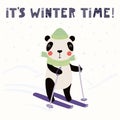 Cute panda skiing in winter Royalty Free Stock Photo