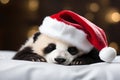 Cute panda sleeps in a Christmas red hat