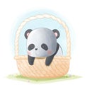 Cute Panda in the wicker basket