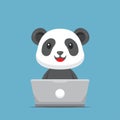 Cute Panda Working with Laptop Royalty Free Stock Photo