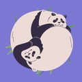 Cute panda yin yang concept. Funny Asian bear sleep, happy fluffy animals relax. Tired furry couple, Chinese family rest