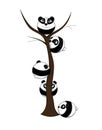 Cute pandas climbed a tree