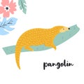 Cute pangolin on branch. Rare species of animals