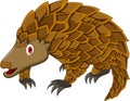 Cute pangolin cartoon