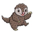 Cute pangolin cartoon on white background