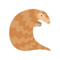 Cute Pangolin Rare Species of Animals Vector Illustration