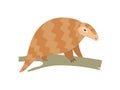 Cute Pangolin Sitting on Tree Branch, Rare Species of Animals Cartoon Vector Illustration