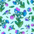 Cute Pansies on blue background