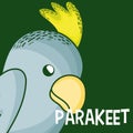 Cute parakeet cartoon