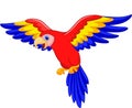 Cute parrot bird cartoon