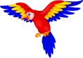 Cute parrot bird cartoon